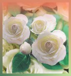 HEM White Rose Räucherstäbchen