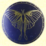 Carnatia Celestial Renewal Natural R&auml;ucherst&auml;bchen