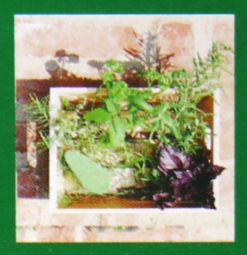 Nandita Herbalina indisches Parf&uuml;m