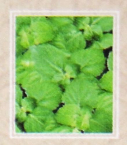 Nandita Patchouli indisches Parf&uuml;m