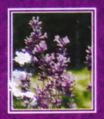 Nandita Lavender indisches Parf&uuml;m