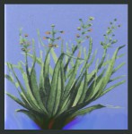 Namaste India Earth Inspired Smudge R&auml;ucherst&auml;bchen Palo Santo & Citronella