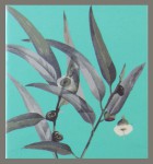 Namaste India Earth Inspired Smudge R&auml;ucherst&auml;bchen Palo Santo & Eucalyptus