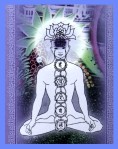 Prabhuji´s Gifts Chakra Ajna Third Eye Masala Räucherstäbchen