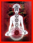 Prabhuji´s Gifts Chakra Muladhara Root Masala Räucherstäbchen