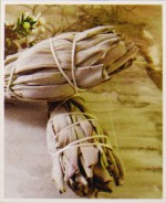 SAC White Sage Duft&ouml;l  