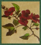 Sagrada Madre Patagonia Hibiscus Smudge R&auml;ucherst&auml;bchen