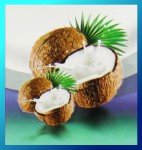 Satya LLP Coconut Dry Masala R&auml;ucherst&auml;bchen