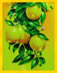 Satya LLP Lime & Lemon Dry Masala Räucherstäbchen