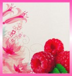 Satya LLP Raspberry Dry Masala R&auml;ucherst&auml;bchen