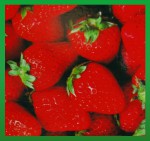 Satya LLP Strawberry /Erdbeere Dry Masala Räucherstäbchen