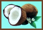 Saules Festes Shampoo Coconut 60g