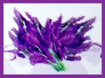 Saules Lavendel Massageöl 200ml