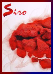 Siro Dragon`s Blood R&auml;ucherst&auml;bchen