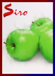 Siro Fresh Green Apple Räucherstäbchen