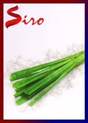 Siro Fresh Lemon Grass R&auml;ucherst&auml;bchen