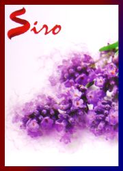 Siro Heavenly Lavender R&auml;ucherst&auml;bchen