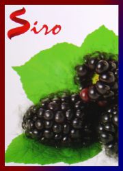 Siro Mulberry Blast R&auml;ucherst&auml;bchen