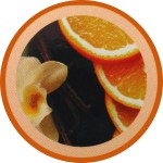 Terra Orange Vanilla Flora R&auml;ucherst&auml;bchen