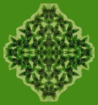 Tulasi Herbal Patchouli Exclusiv Masala R&auml;ucherst&auml;bchen