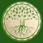 Organic Lemongras 100% Natural Smudge R&auml;ucherst&auml;bchen