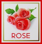 Ullas Rose R&uuml;ckflussr&auml;ucherkegel